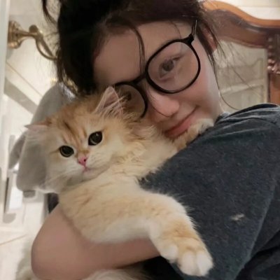 嫌疑人X的献身2008