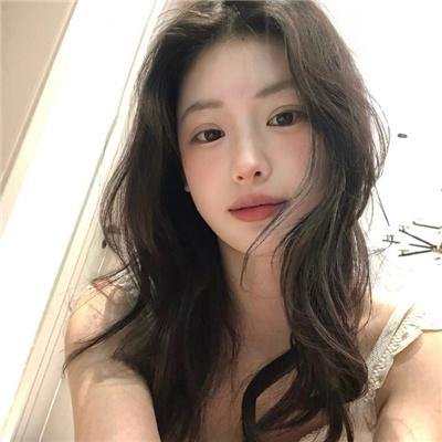 马达加斯加的企鹅